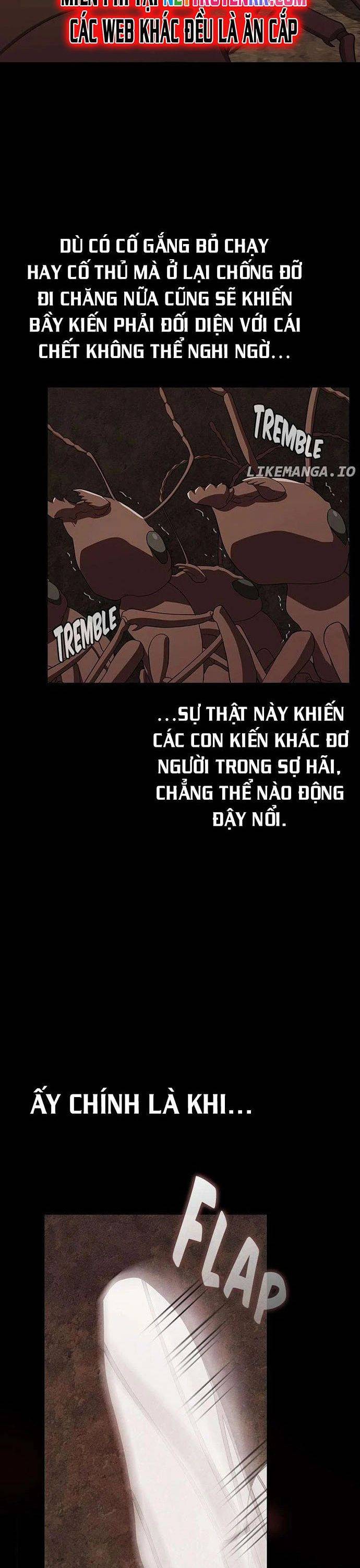 Tôi Là Người Chơi Leo Tháp Một Mình: Chapter 210