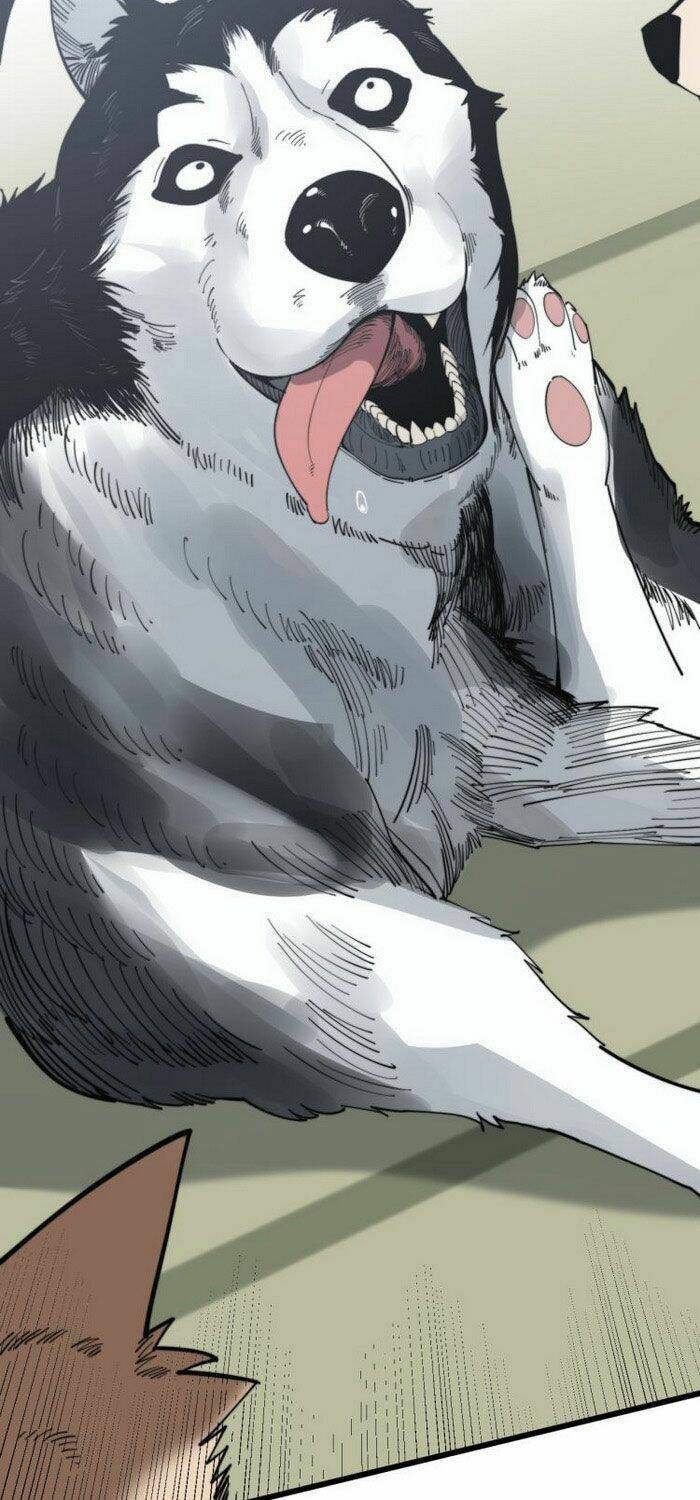 Độc Thủ Vu Y: Chapter 175
