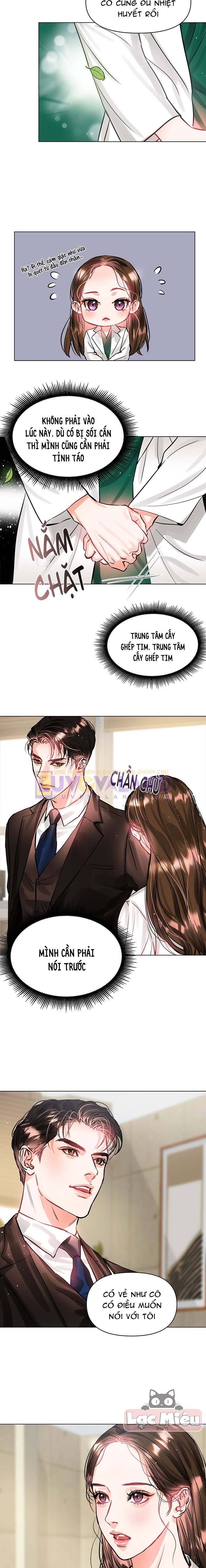 Trái Tim Của Sư Tử: Chapter 5