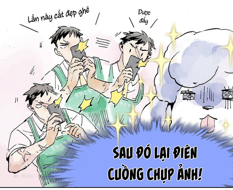 Bạn Cùng Lớp Tôi Đều Kỳ Lạ: Chương 14