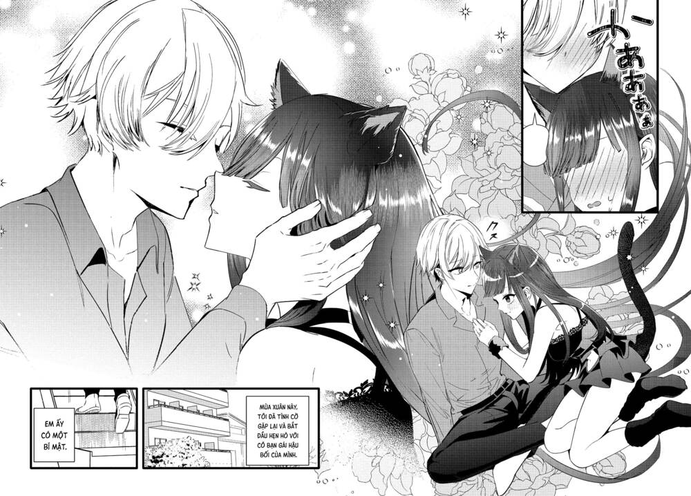 Cô nàng lạnh lùng trên trường lại là mèo cưng của tôi: Chapter 26: [Hết]