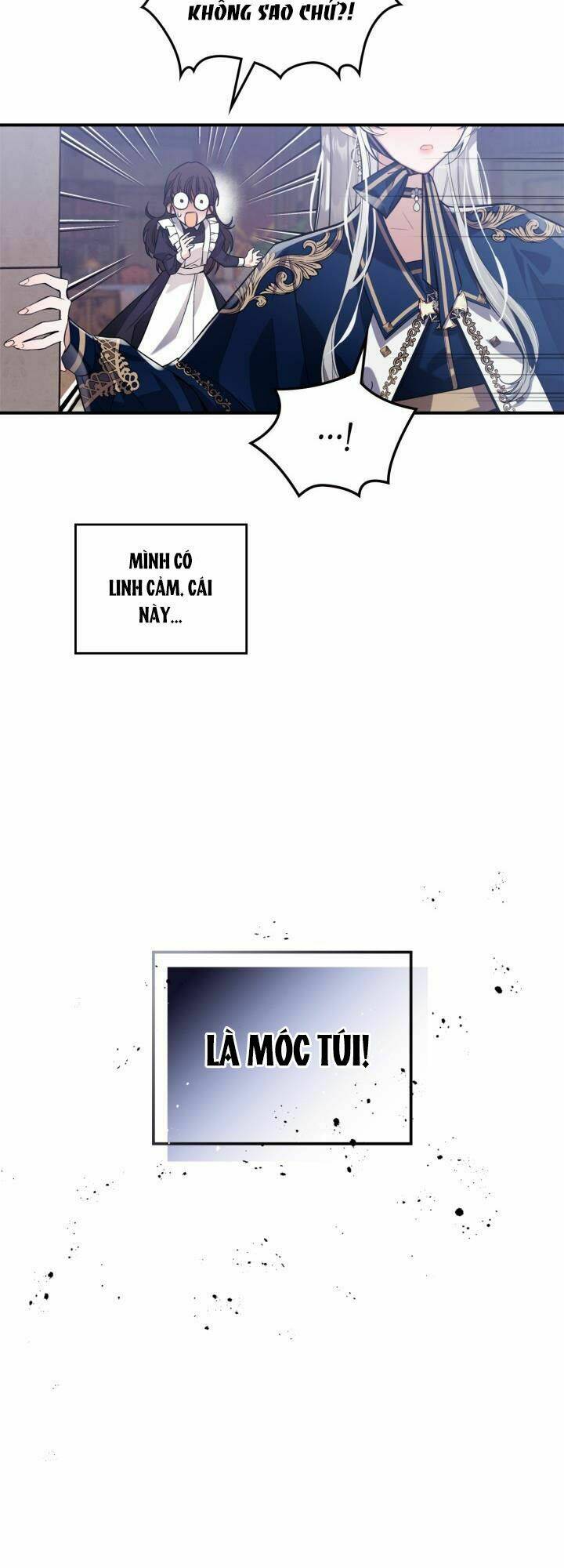 Hôm Nay Công Nương Toàn Năng Cũng Thấy Chán Nản: Chapter 13