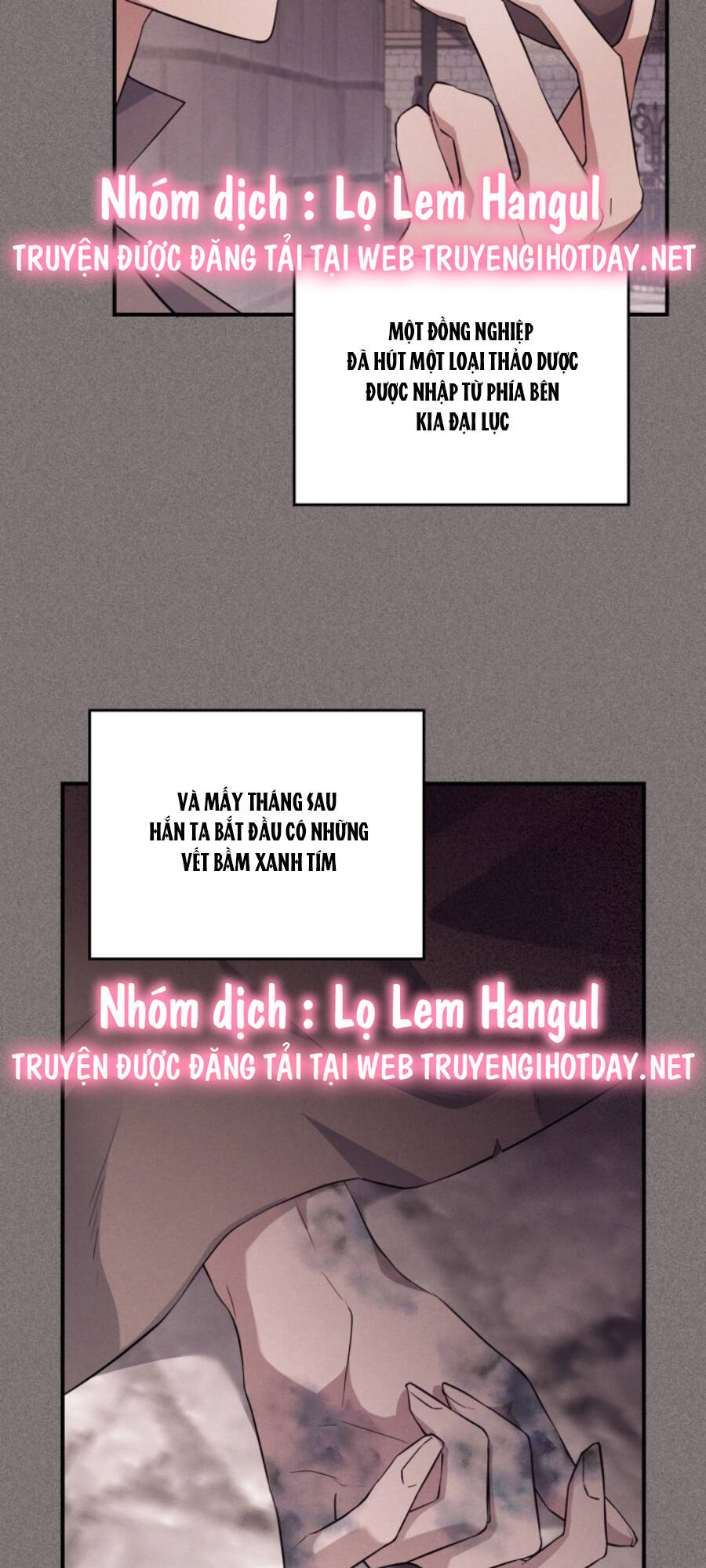 Hôm Nay Công Nương Toàn Năng Cũng Thấy Chán Nản: Chapter 62.1