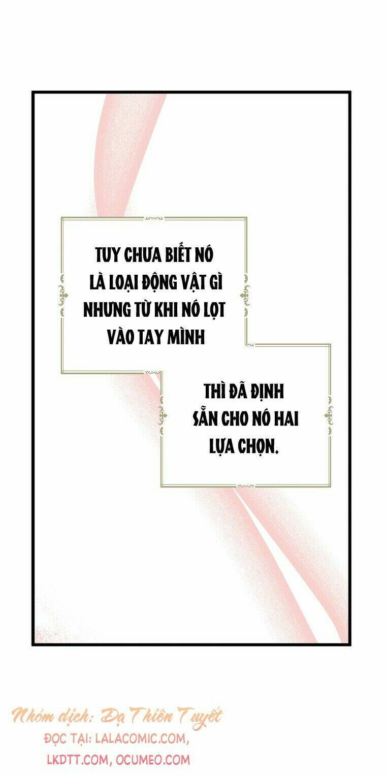 Trở Thành Con Gái Nhà Tài Phiệt: Chapter 33