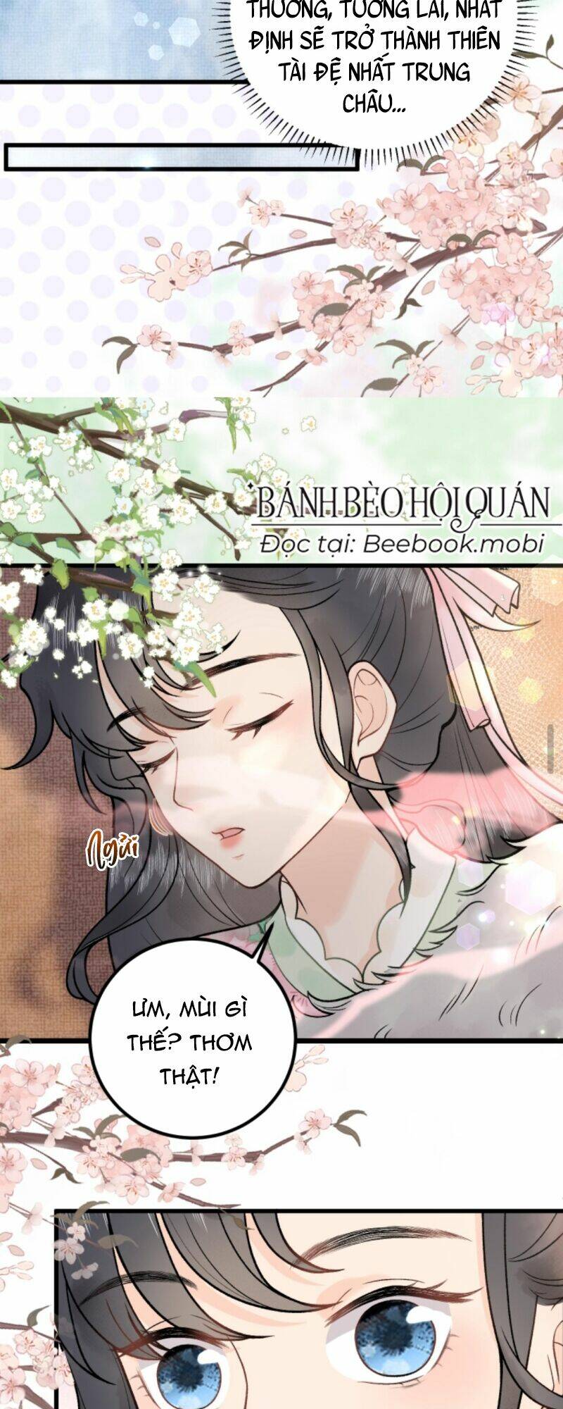 Toàn Tông Môn Đều Là Kẻ Si Tình, Chỉ Có Ta Là Tỉnh Táo: Chapter 11