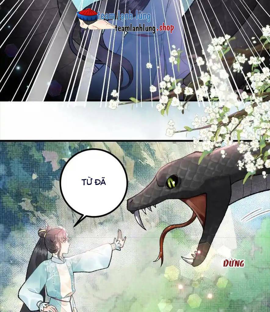 Toàn Tông Môn Đều Là Kẻ Si Tình, Chỉ Có Ta Là Tỉnh Táo: Chapter 162