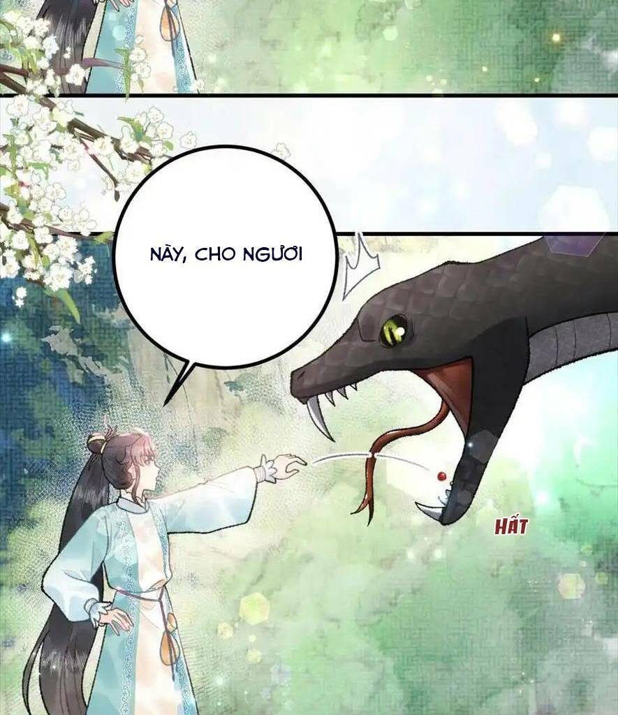 Toàn Tông Môn Đều Là Kẻ Si Tình, Chỉ Có Ta Là Tỉnh Táo: Chapter 162