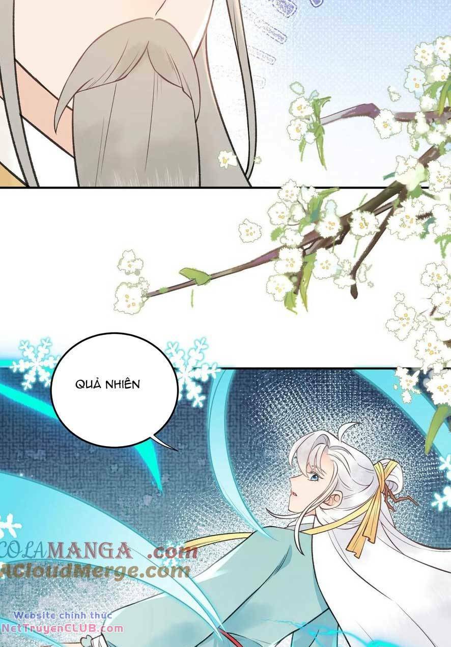 Toàn Tông Môn Đều Là Kẻ Si Tình, Chỉ Có Ta Là Tỉnh Táo: Chapter 174