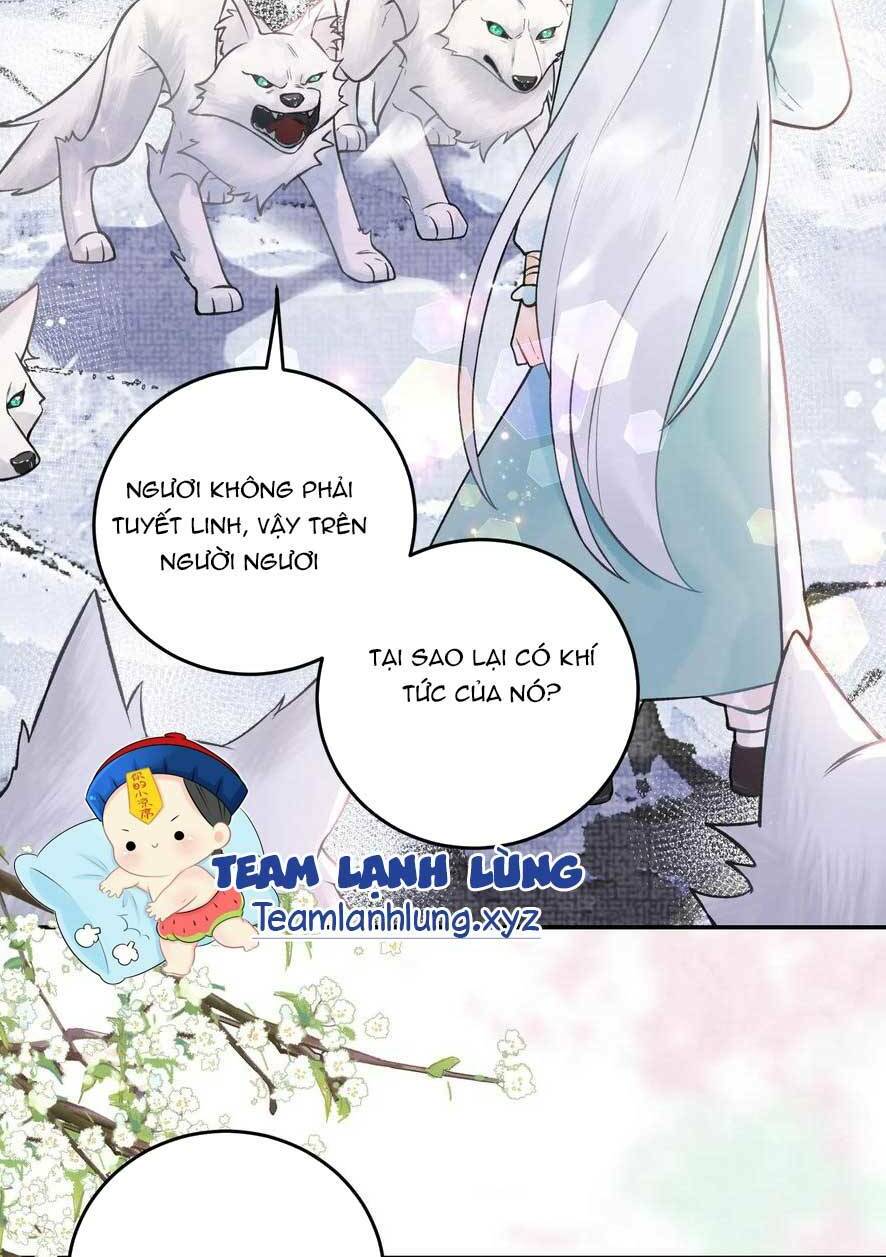 Toàn Tông Môn Đều Là Kẻ Si Tình, Chỉ Có Ta Là Tỉnh Táo: Chapter 175
