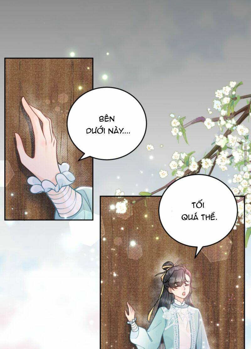 Toàn Tông Môn Đều Là Kẻ Si Tình, Chỉ Có Ta Là Tỉnh Táo: Chapter 41