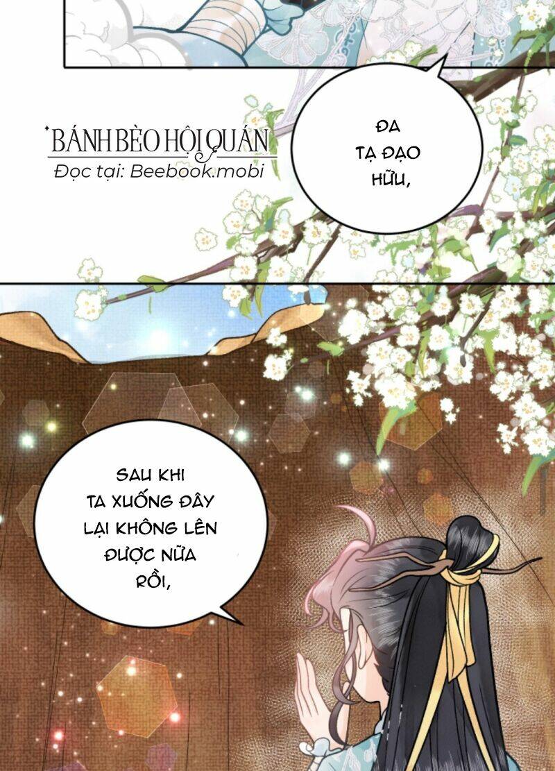 Toàn Tông Môn Đều Là Kẻ Si Tình, Chỉ Có Ta Là Tỉnh Táo: Chapter 41