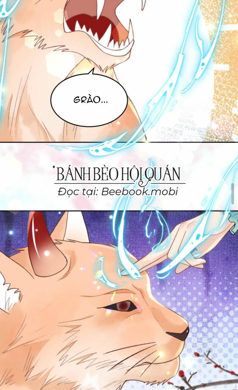 Toàn Tông Môn Đều Là Kẻ Si Tình, Chỉ Có Ta Là Tỉnh Táo: Chapter 68