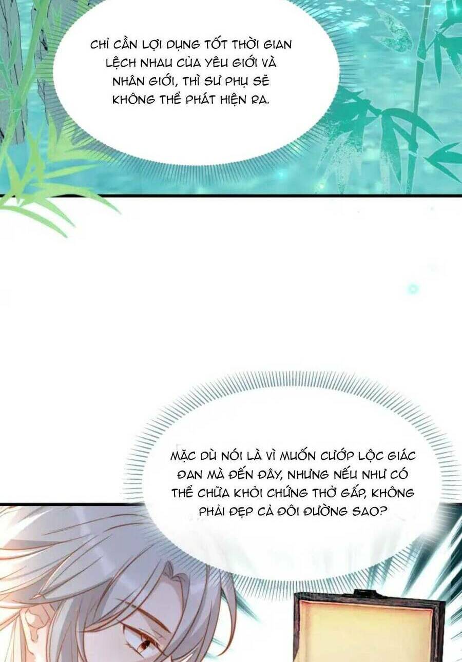 Nhặt Nuôi Phu Quân: Chapter 11