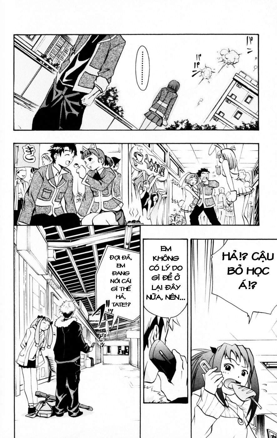 Mai-HiME: Chapter 27: Lễ hội văn hóa
