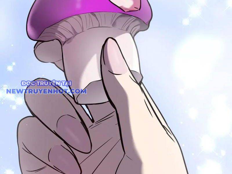 Hệ Thống Của Ta Thật Đứng Đắn: Chapter 33