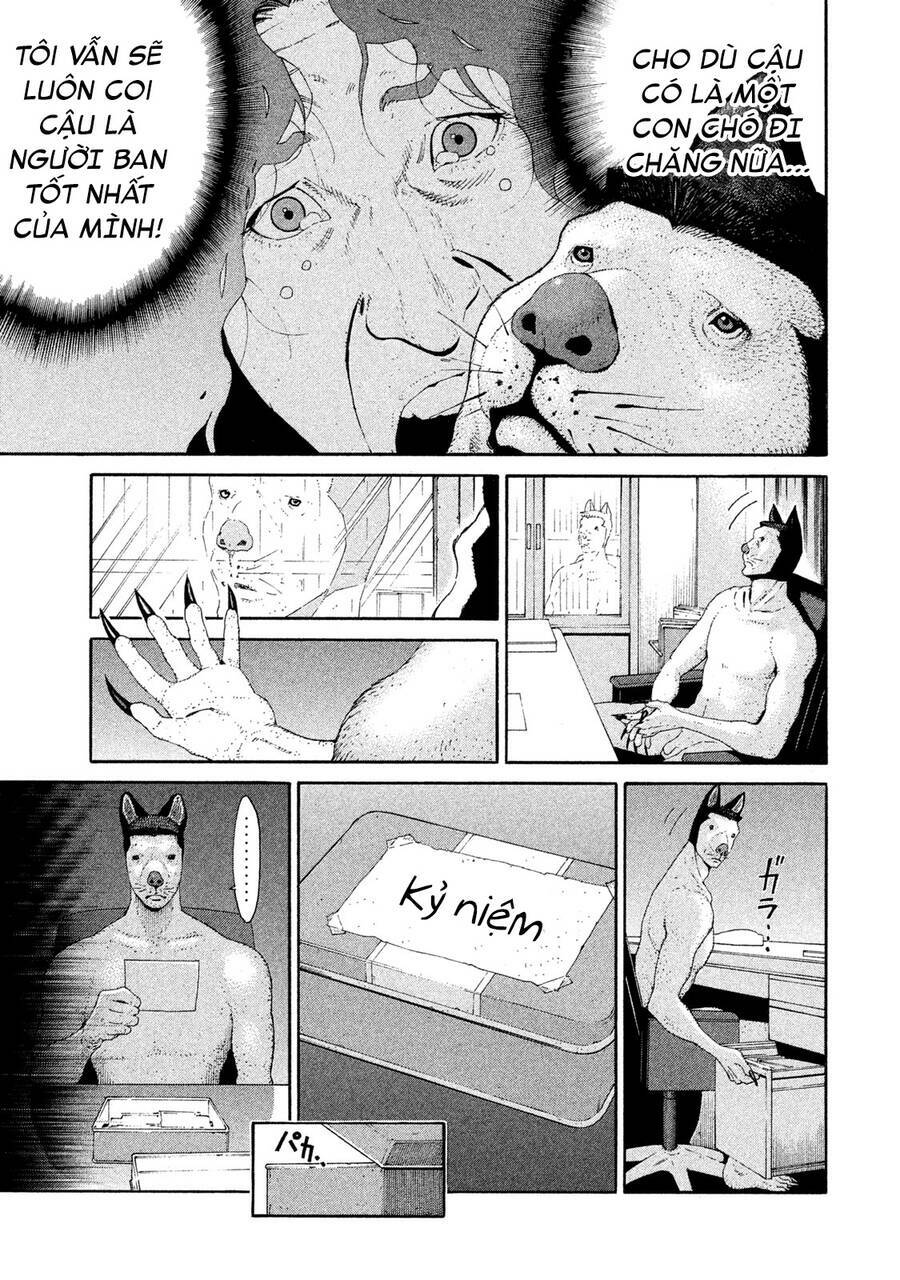 Chiến Binh Cách Mạng: Người Chó Còn Trinh: Chapter 14