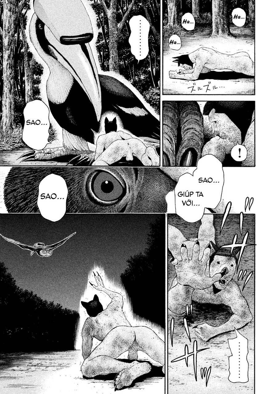 Chiến Binh Cách Mạng: Người Chó Còn Trinh: Chapter 14