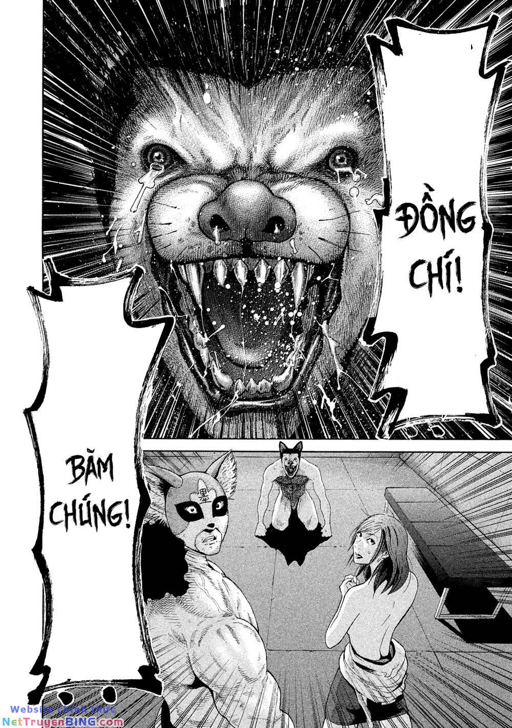 Chiến Binh Cách Mạng: Người Chó Còn Trinh: Chapter 8: Mặt Nạ Chihuahua Đã Xuất Hiện!
