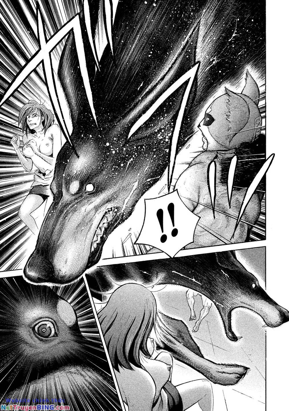 Chiến Binh Cách Mạng: Người Chó Còn Trinh: Chapter 8: Mặt Nạ Chihuahua Đã Xuất Hiện!