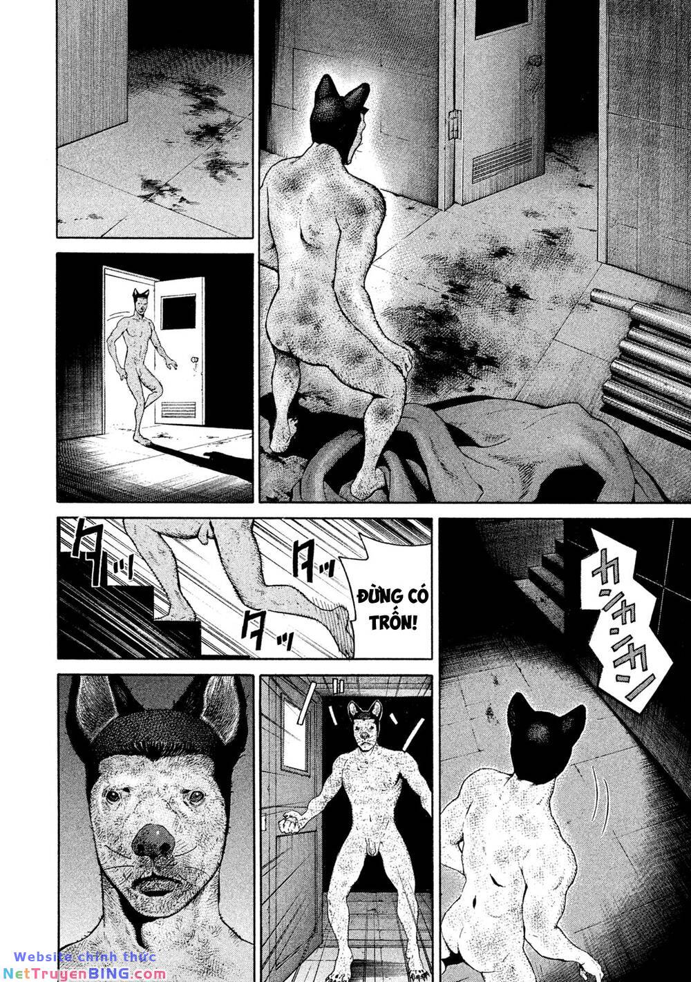 Chiến Binh Cách Mạng: Người Chó Còn Trinh: Chapter 9: Tôi Thực Sự Xin Lỗi! [HẾT VOL 1]