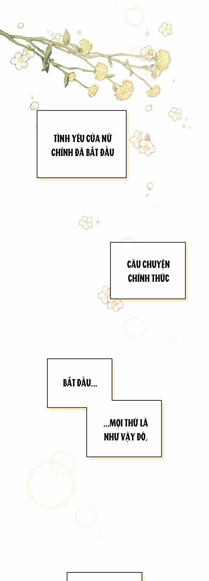 Nữ Chính Ngoại Tình Với Vị Hôn Phu Của Tôi: Chapter 1