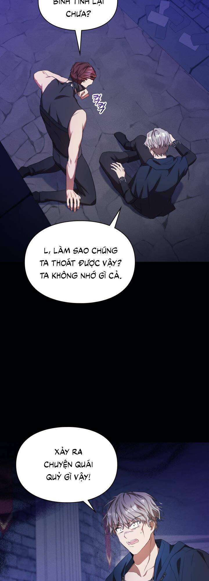 Nữ Chính Ngoại Tình Với Vị Hôn Phu Của Tôi: Chapter 12
