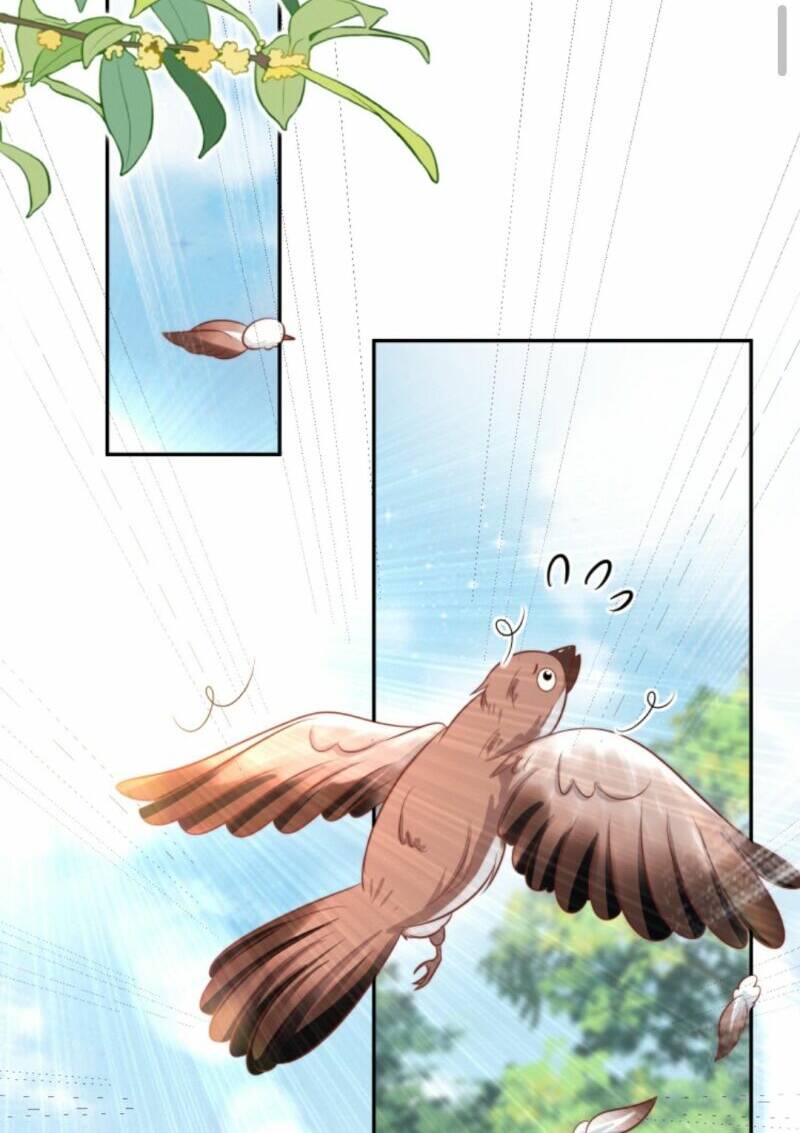 Tiểu Sư Muội Rõ Ràng Rất Mạnh, Nhưng Lại Quá Tấu Hề: Chapter 50