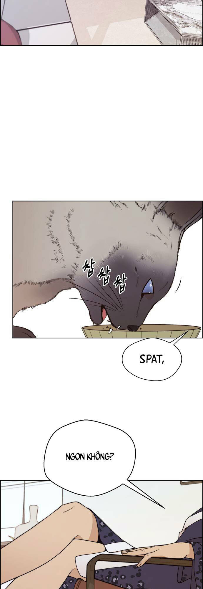 Người Đàn Ông Thực Thụ: Chapter 90