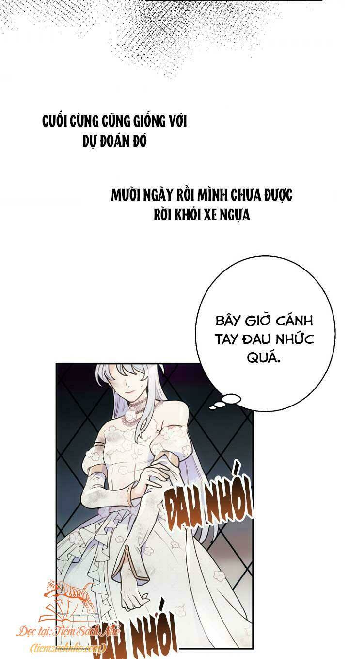 Tiền Là Tất Cả Chồng Là Phù Du: Chapter 1