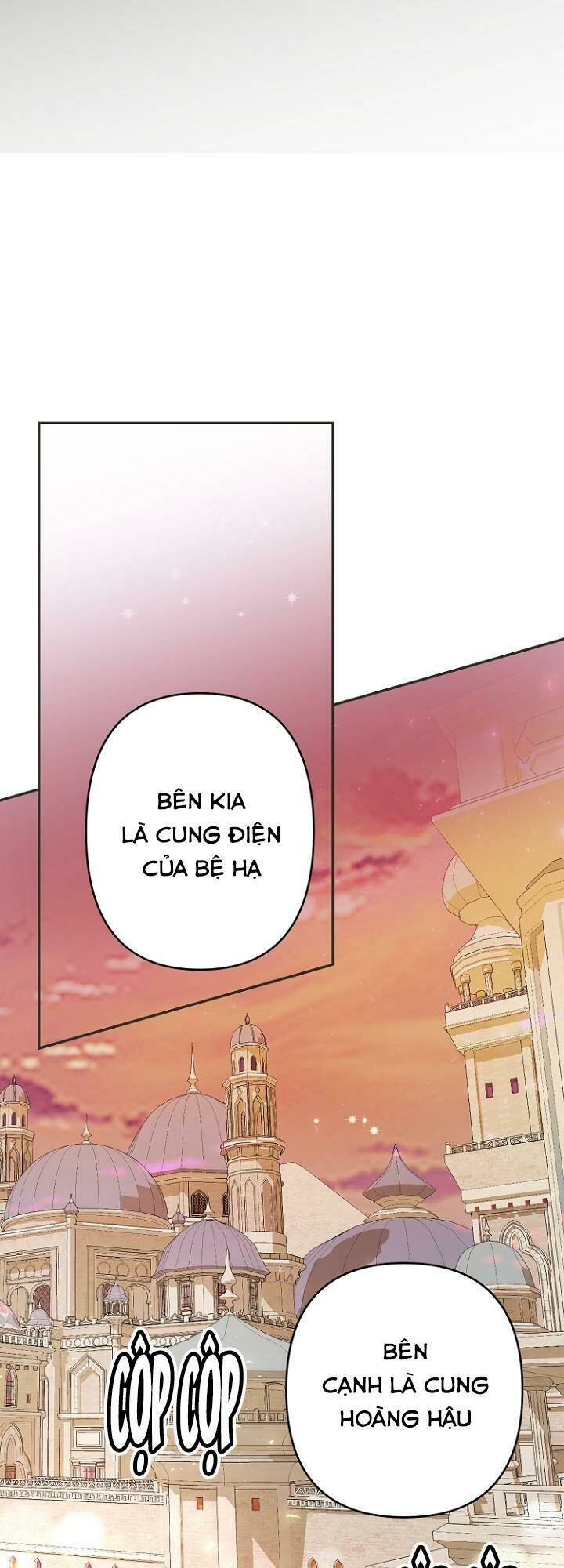 Tiền Là Tất Cả Chồng Là Phù Du: Chapter 11