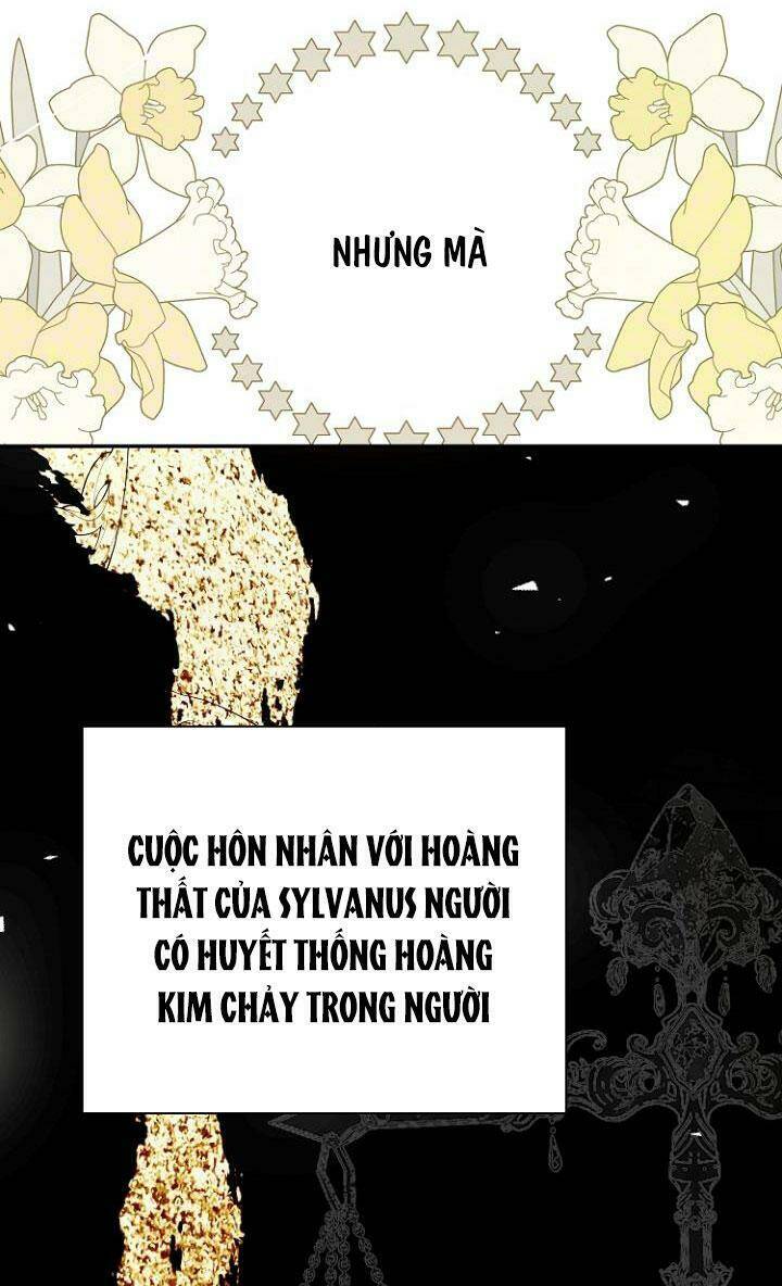 Tiền Là Tất Cả Chồng Là Phù Du: Chapter 15
