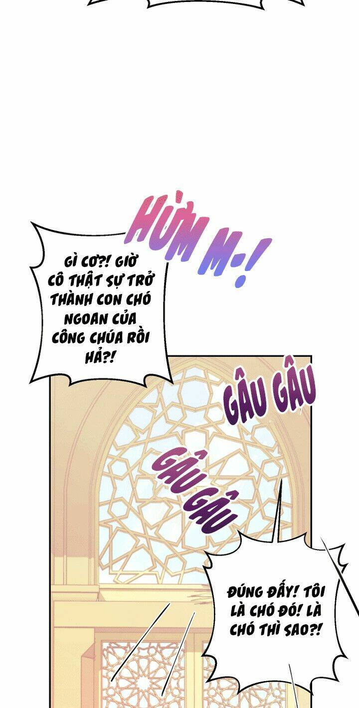 Tiền Là Tất Cả Chồng Là Phù Du: Chapter 21