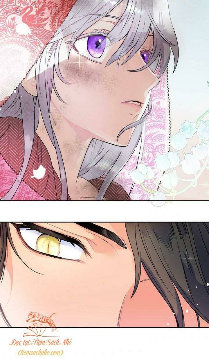 Tiền Là Tất Cả Chồng Là Phù Du: Chapter 3