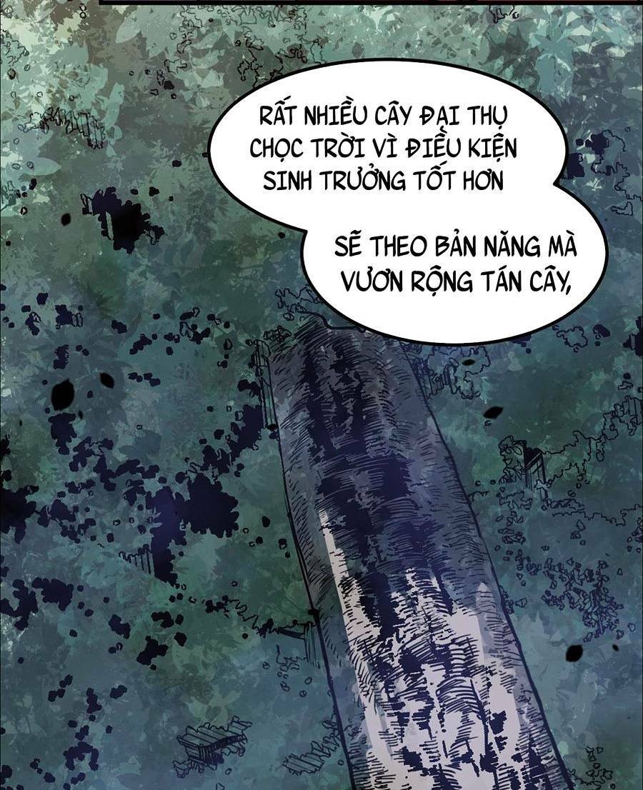 Siêu Phàm Tiến Hóa: Chapter 75