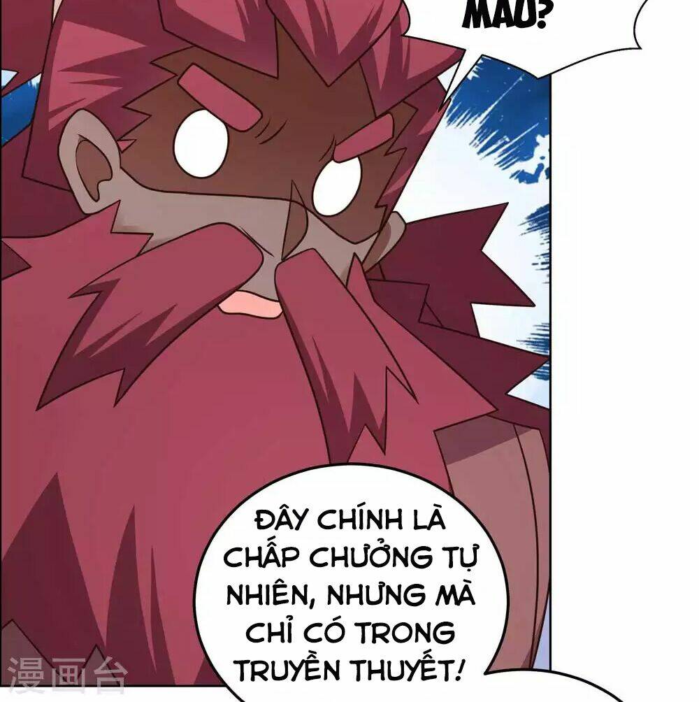 Tôn Thượng: Chapter 186