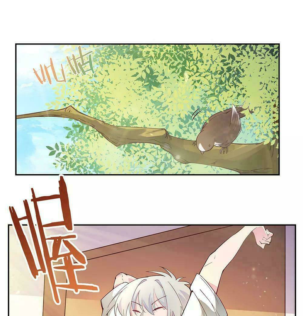 Tôn Thượng: Chapter 31: (bão 20/10)