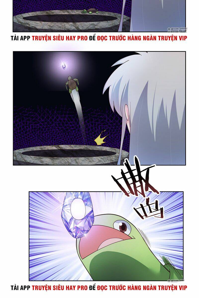 Tôn Thượng: Chapter 50