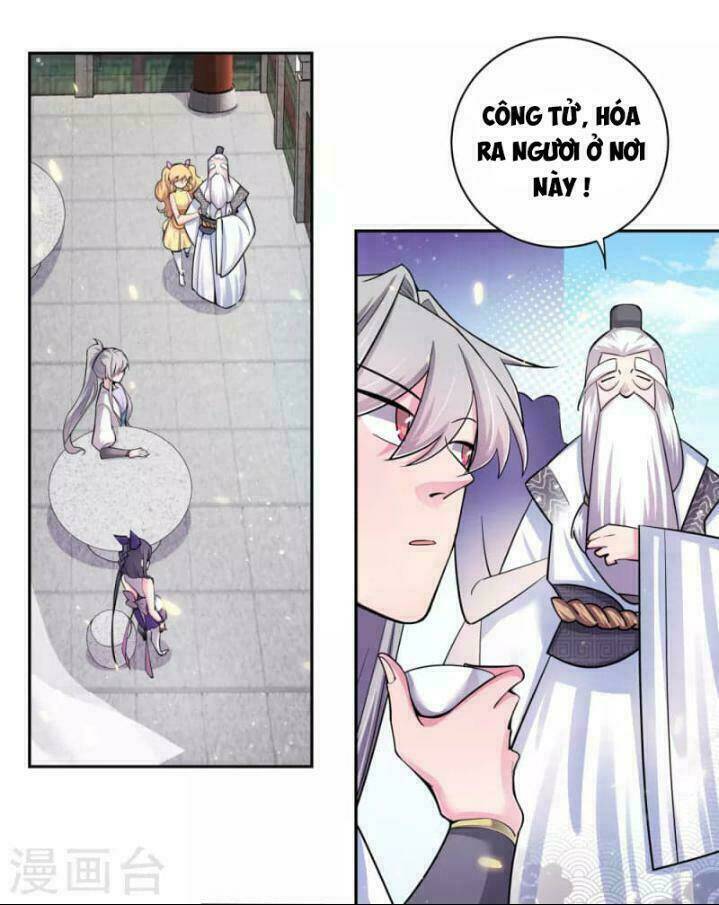 Tôn Thượng: Chapter 6