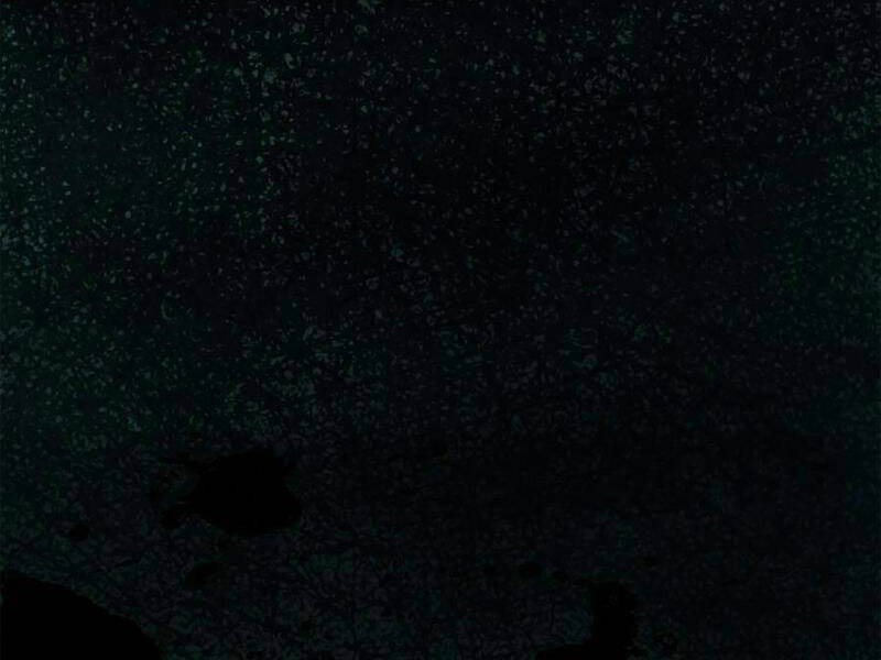 Quỷ dị khó giết? Thật xin lỗi, ta mới thật sự là bất tử: Chapter 42