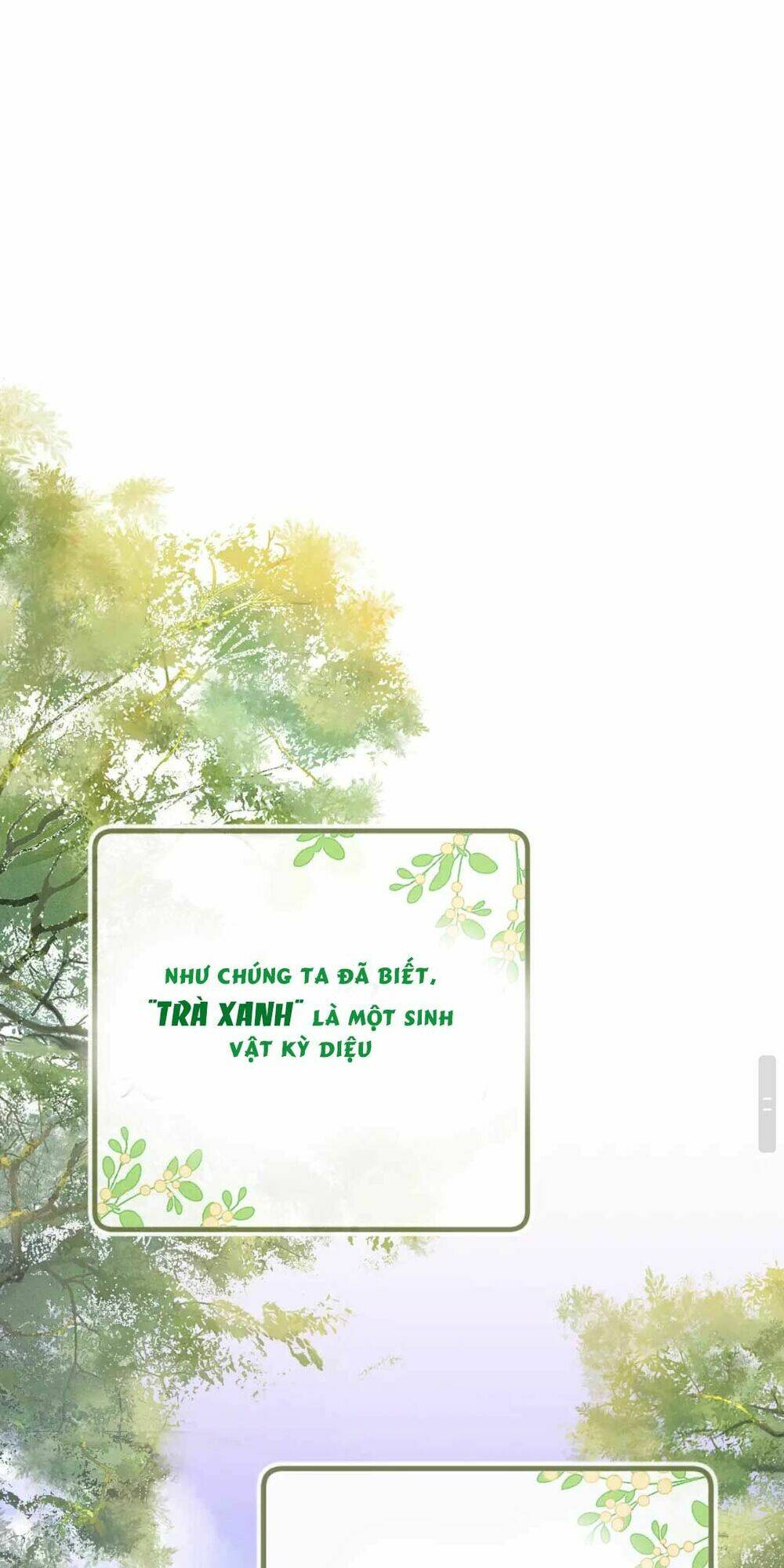 Mãn Cấp Trà Xanh Xuyên Không Thành Tiểu Đáng Thương: Chapter 0