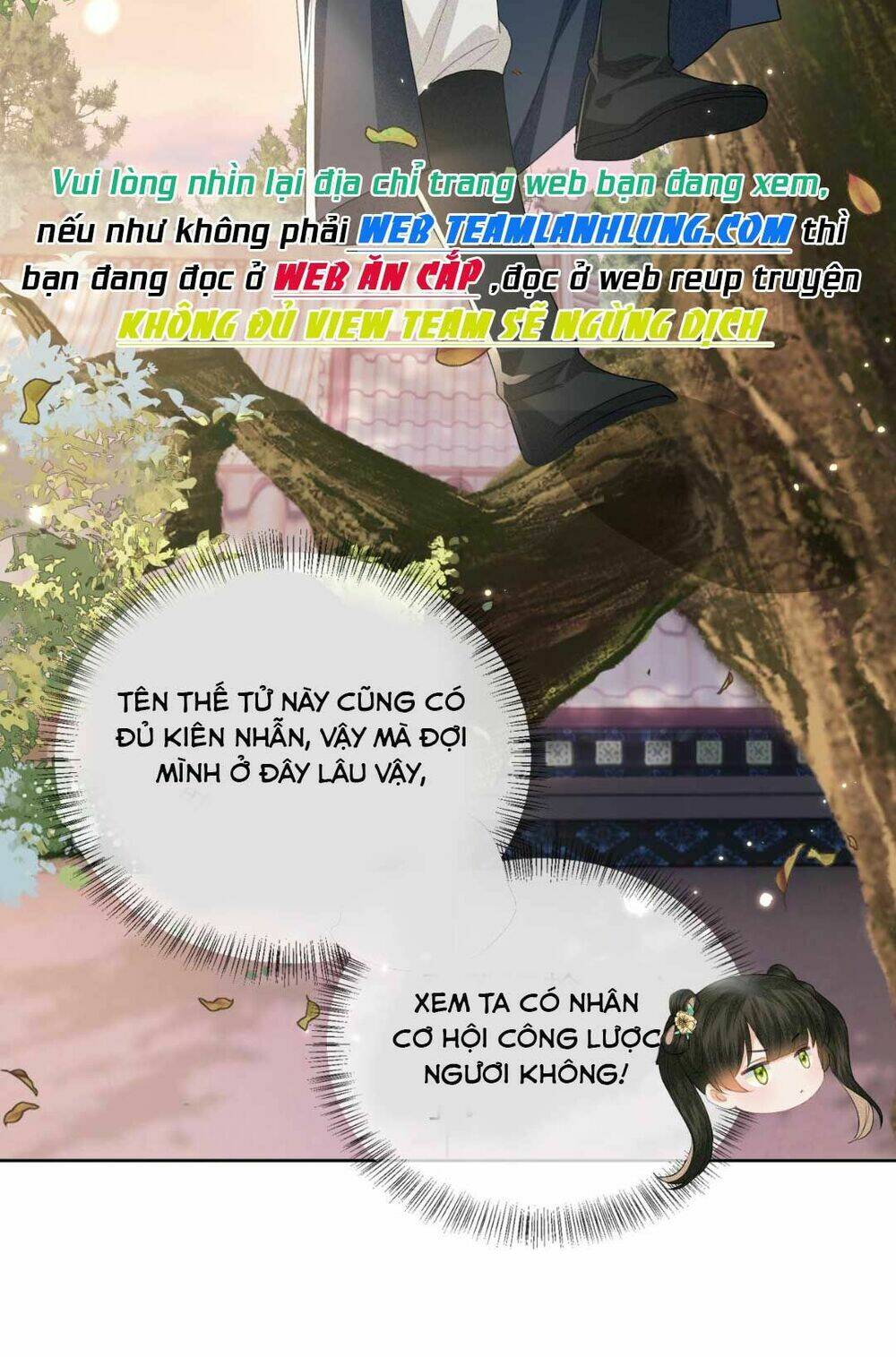 Mãn Cấp Trà Xanh Xuyên Không Thành Tiểu Đáng Thương: Chapter 17