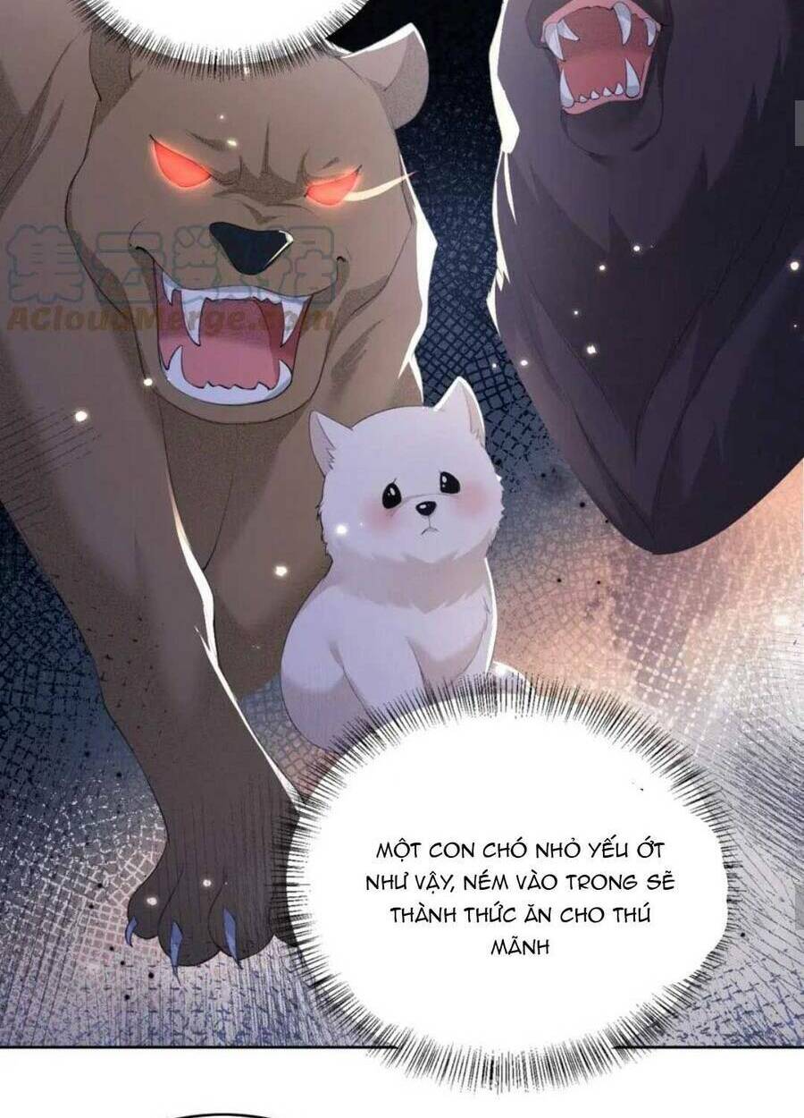 Mãn Cấp Trà Xanh Xuyên Không Thành Tiểu Đáng Thương: Chapter 29