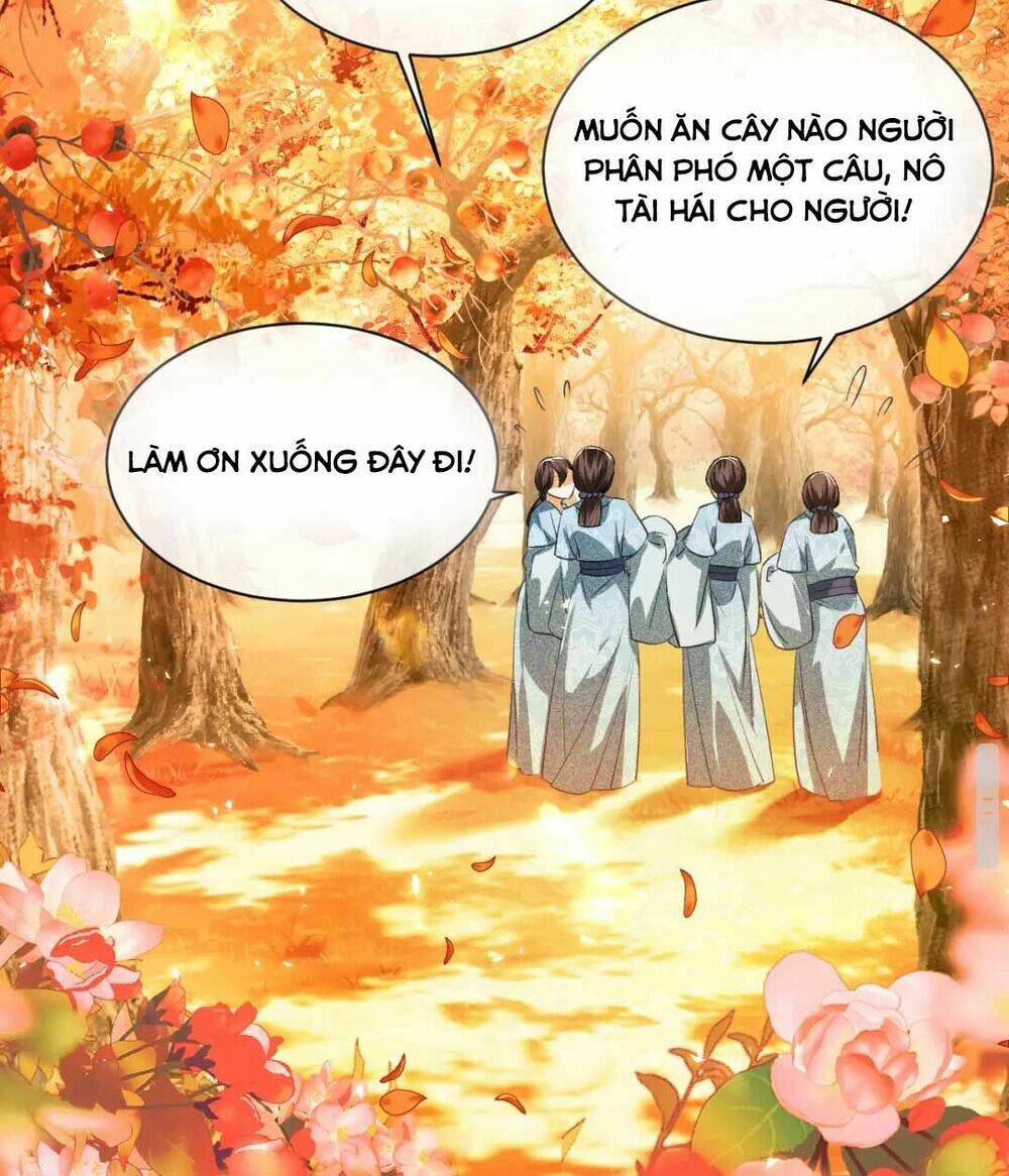 Mãn Cấp Trà Xanh Xuyên Không Thành Tiểu Đáng Thương: Chapter 3