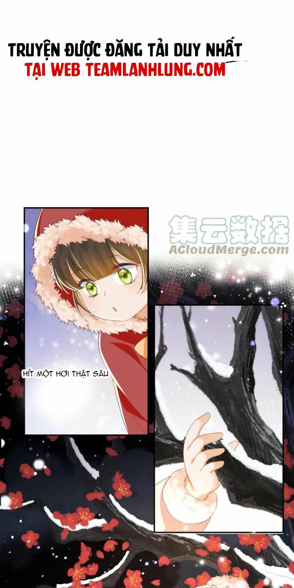 Mãn Cấp Trà Xanh Xuyên Không Thành Tiểu Đáng Thương: Chapter 31