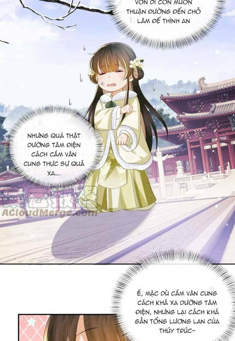 Mãn Cấp Trà Xanh Xuyên Không Thành Tiểu Đáng Thương: Chapter 48