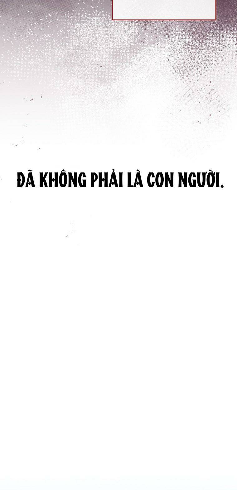 Tiểu thiếp chỉ muốn sống yên bình: Chapter 3