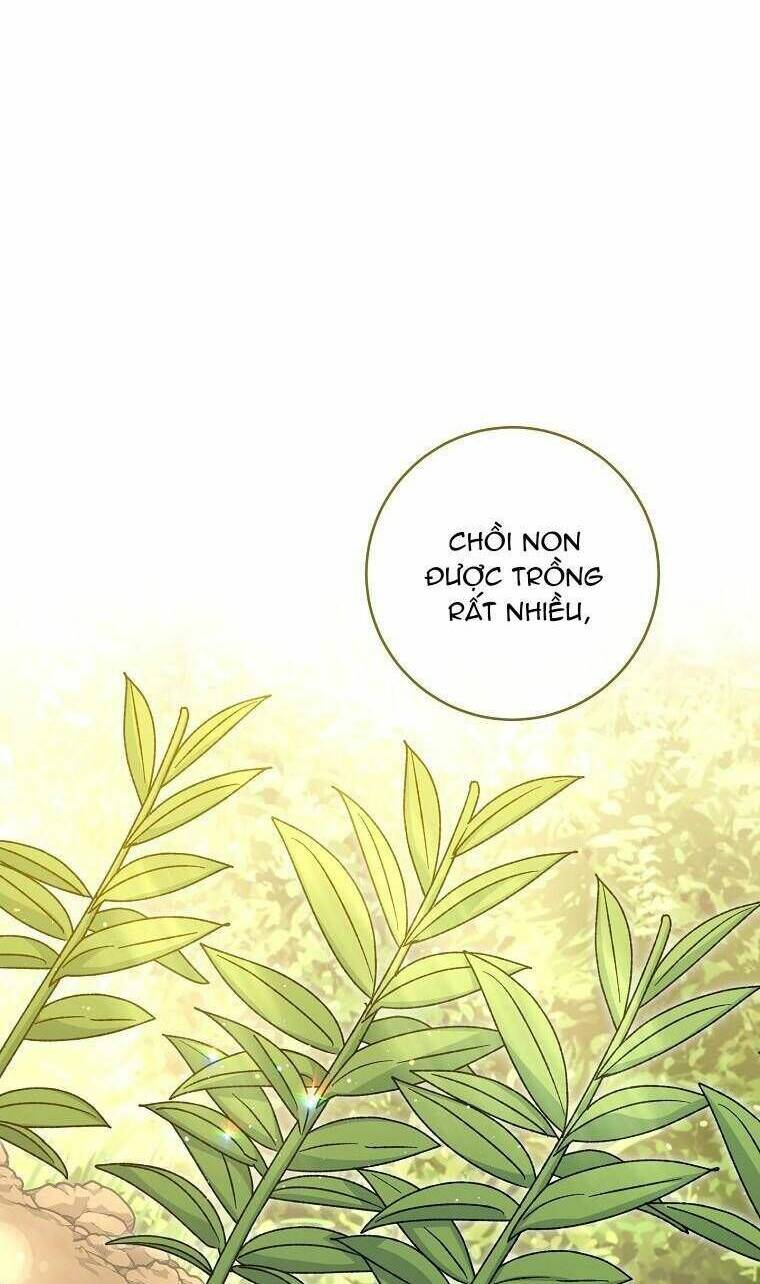 Tiểu thiếp chỉ muốn sống yên bình: Chapter 44