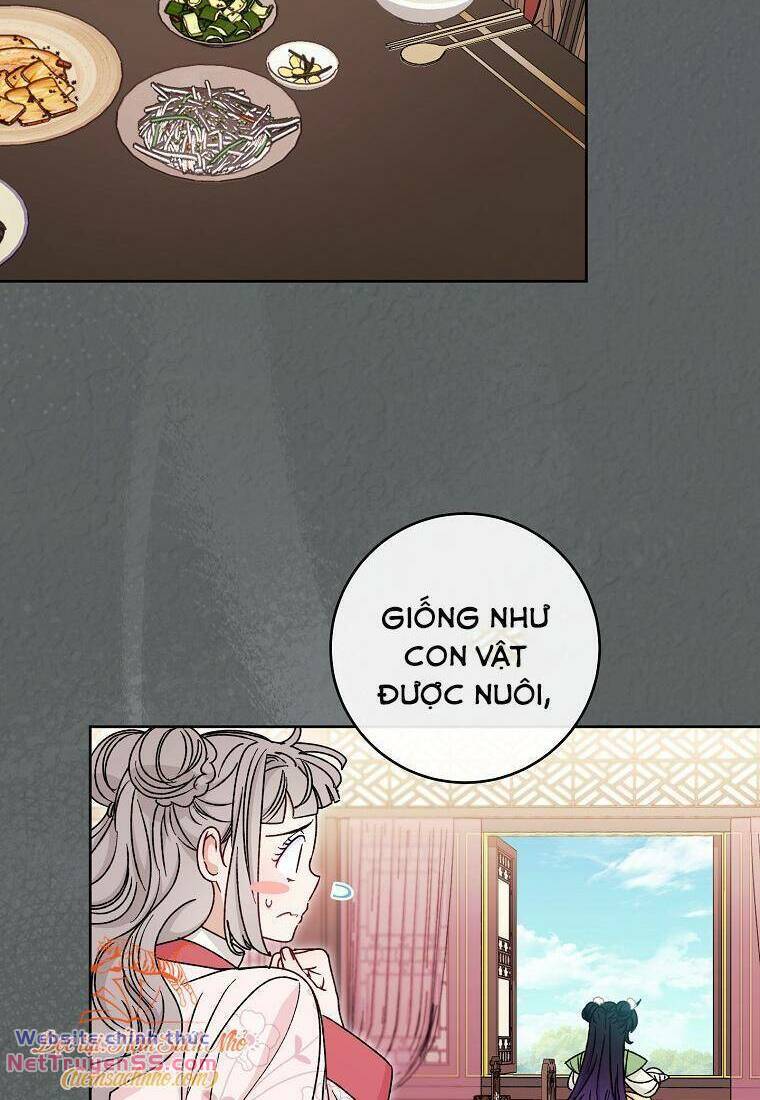 Tiểu thiếp chỉ muốn sống yên bình: Chapter 53