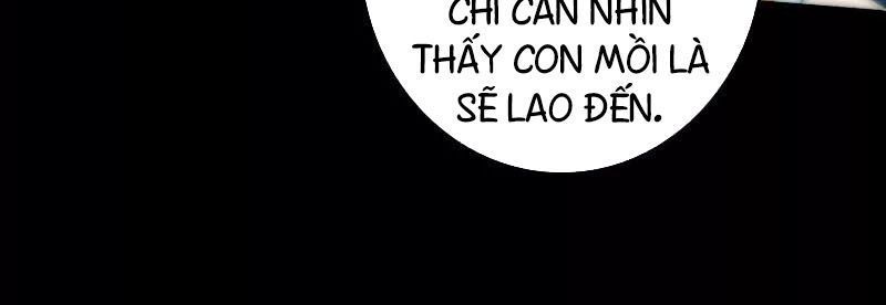 Kiếp Thiên Vận: Chương 44