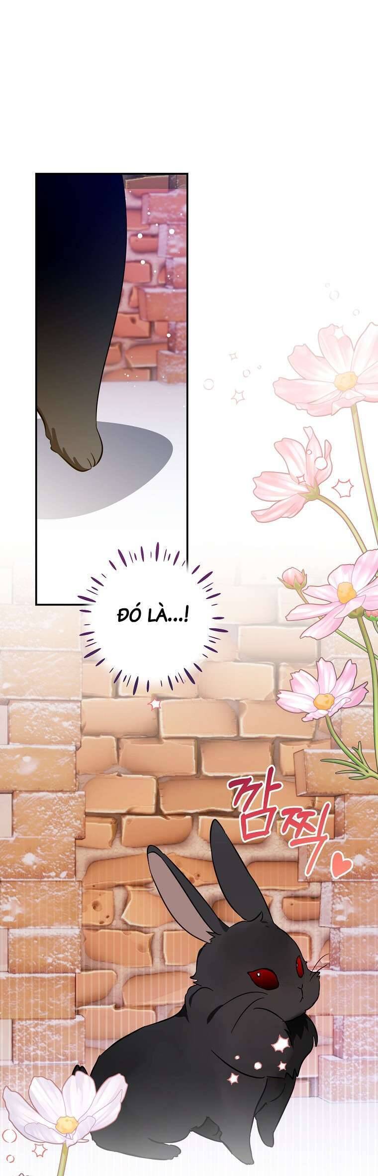 Tôi Không Muốn Có Con Với Nam Chính: Chapter 11